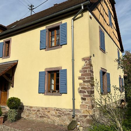 Gite La Maison De Jules Muntzenheim 外观 照片